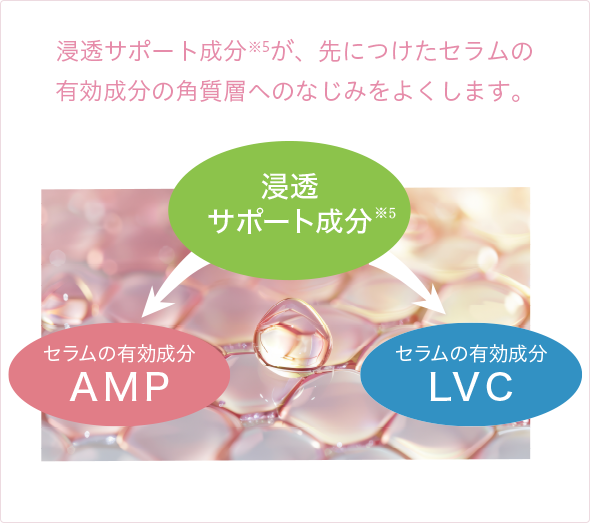 浸透サポート成分※5が、先につけたセラムの有効成分の角質層へのなじみをよくします。