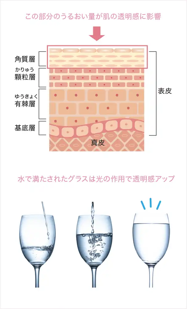 角質層の「うるおい不足」の概念図