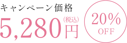 キャンペーン価格 5,280円（税込）20%OFF