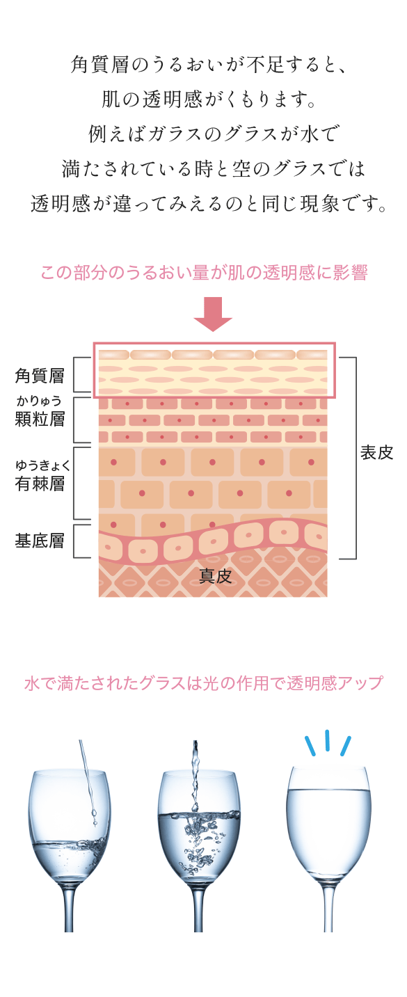 肌の透明感がくもる、角質層のうるおい不足