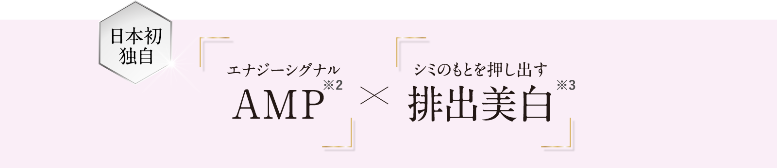 日本初独自　エナジーシグナルAMP※2 × シミのもとを排出する排出美白※1