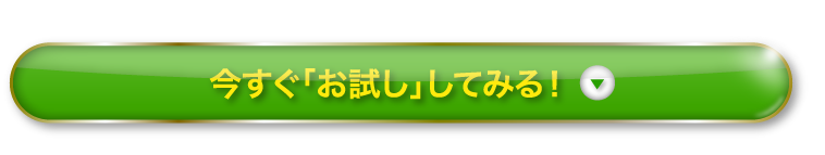 今すぐ「お試し」してみる！