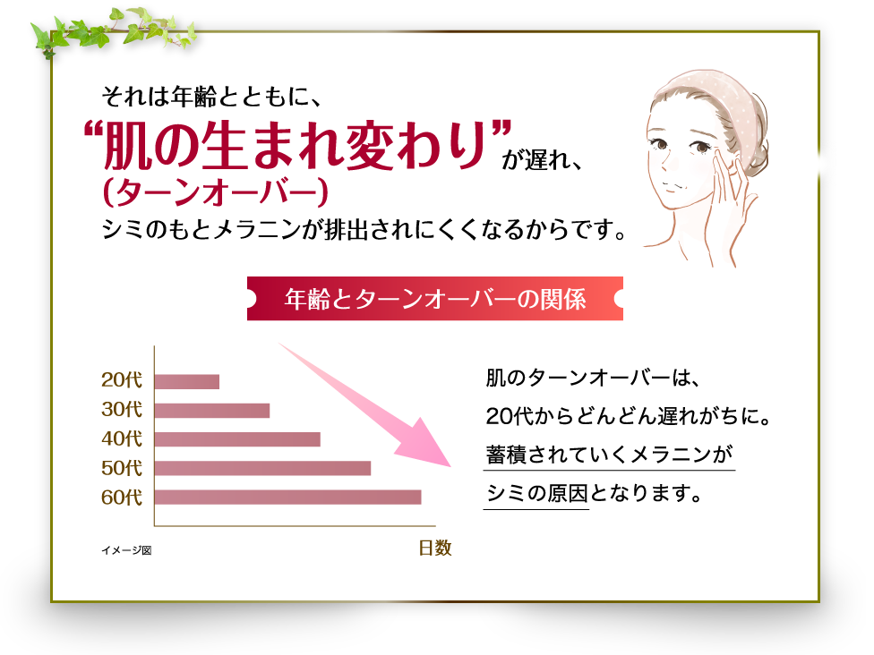  年齢とターンオーバーの関係