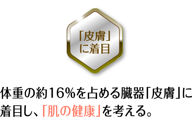 体重の約16％を占める臓器「皮膚」に着目し、「肌の健康」を考える。