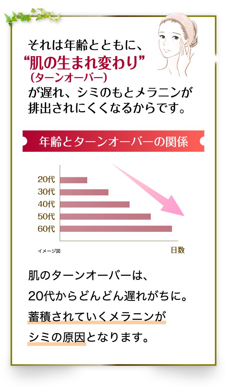  年齢とターンオーバーの関係