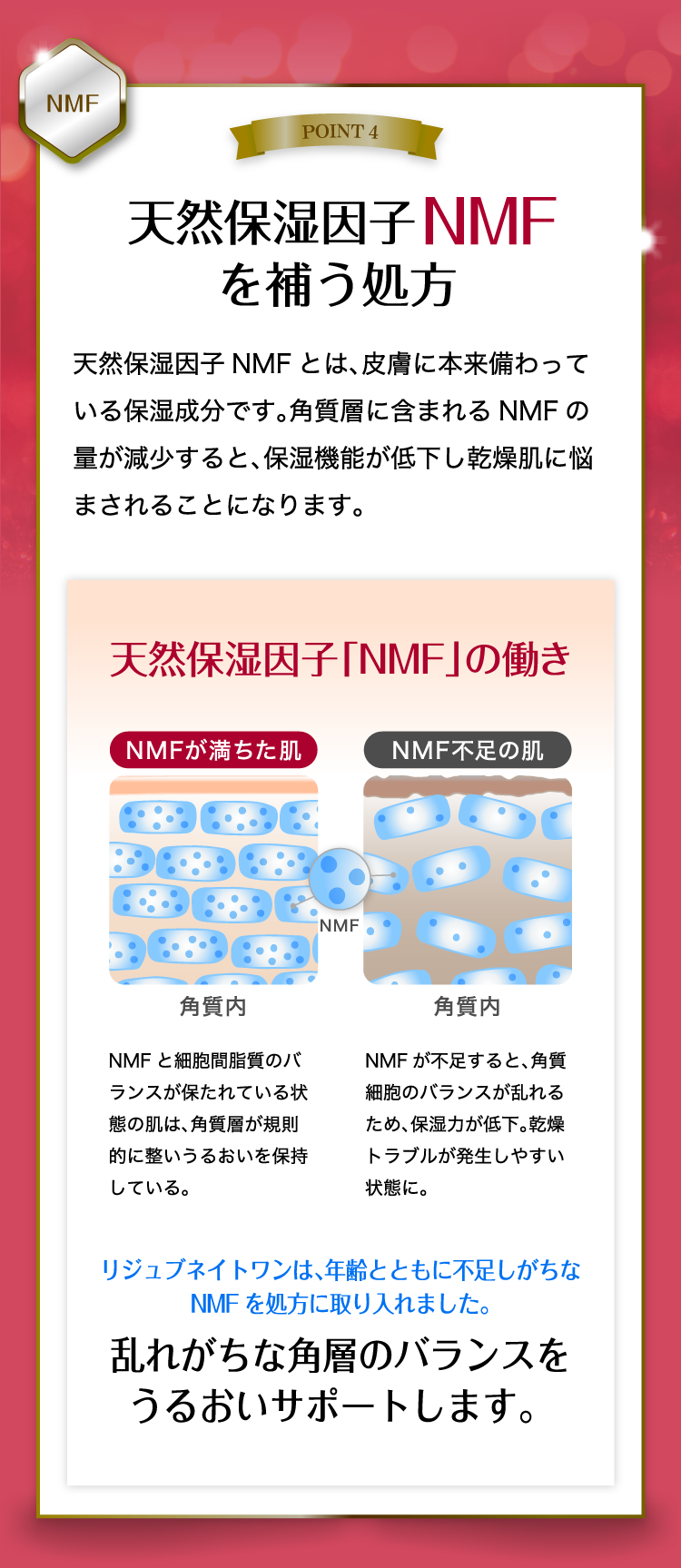 POINT 4 天然保湿因子NMFを補う処方