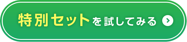 特別セットを試してみる