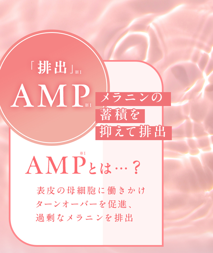 「排出」※1AMP※1メラニンの蓄積を抑えて排出 AMP※1とは…？表皮の母細胞に働きかけターンオーバーを促進・過剰なメラニンを排出