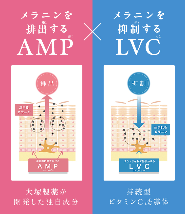 メラニンを排出※1するAMP※1  大塚製薬が開発した独自成分。メラニンを抑制※2するLVC※2持続型ビタミンC導入体。