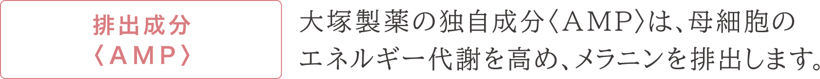 排出成分〈AMP〉大塚製薬の独自成分〈AMP〉は、母細胞のエネルギー代謝を高め、メラニンを排出します。