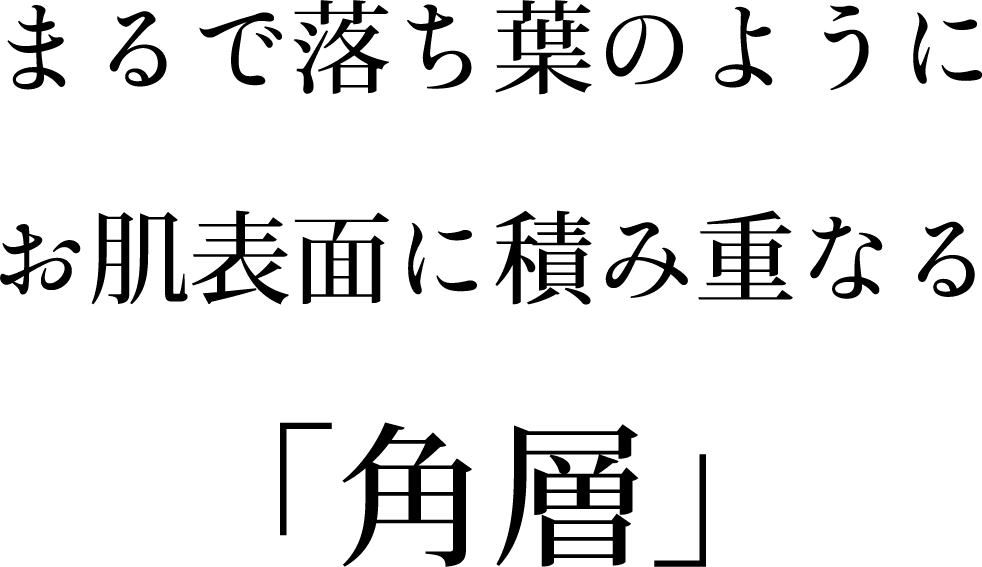 まるで落ち葉のようにお肌表面に積み重なる「角層」
