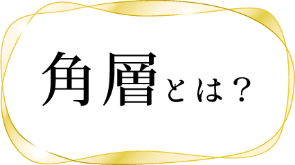角層とは？