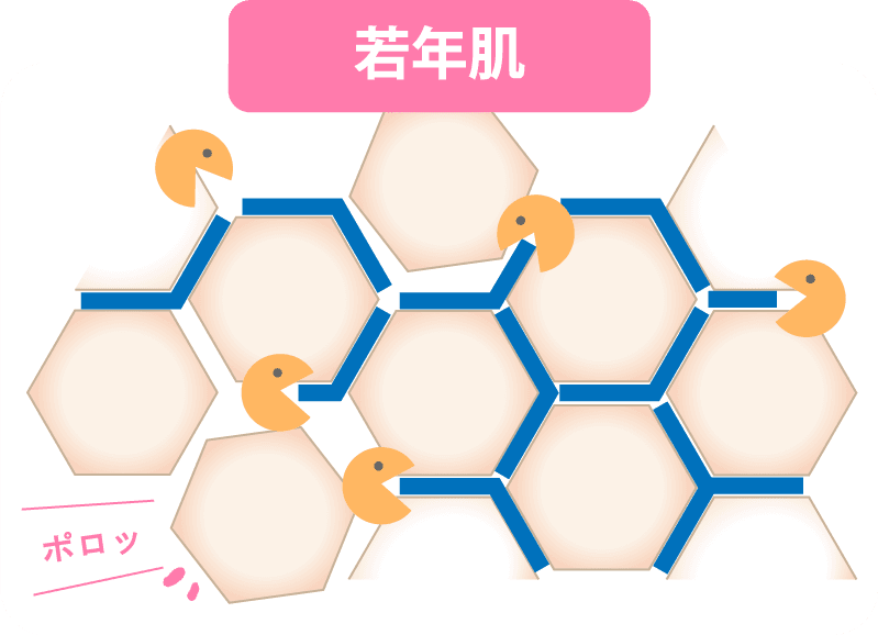 若年肌
