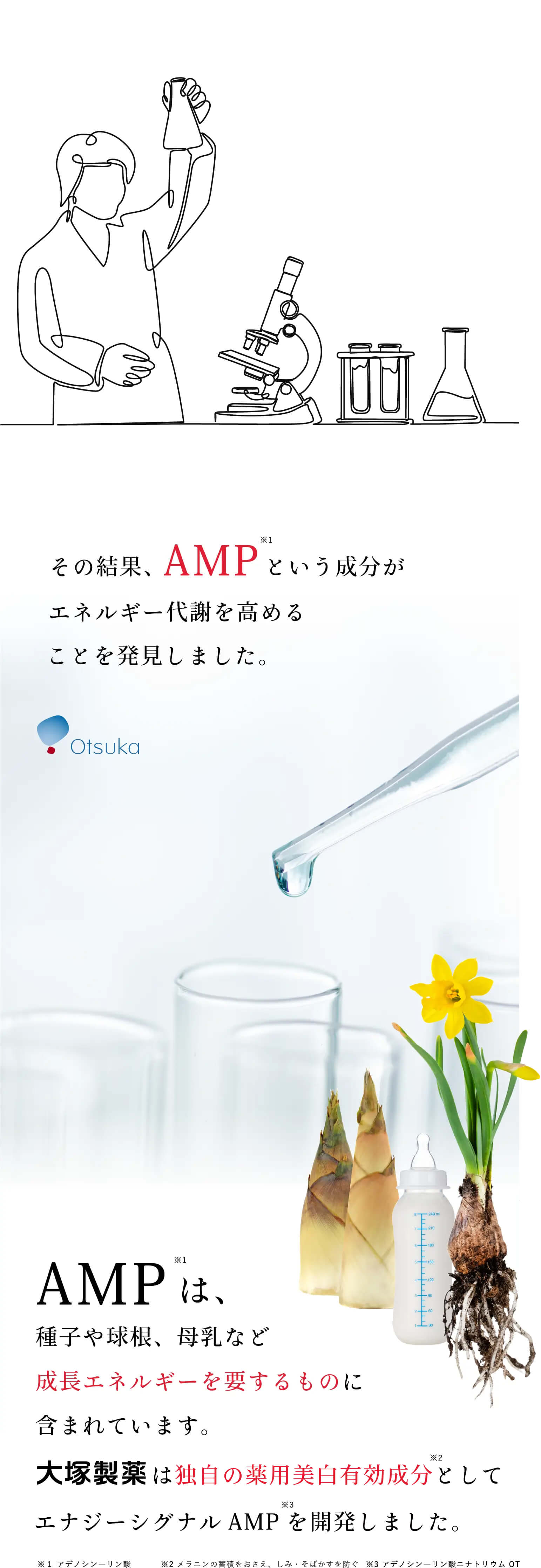 その結果、AMPという成分がエネルギー代謝を高めることを発見しました。AMPは種子や球根、母乳など成長エネルギーを要するものに含まれています。大塚製薬は独自の薬用美白有効成分としてエナジーシグナルAMPを開発しました。