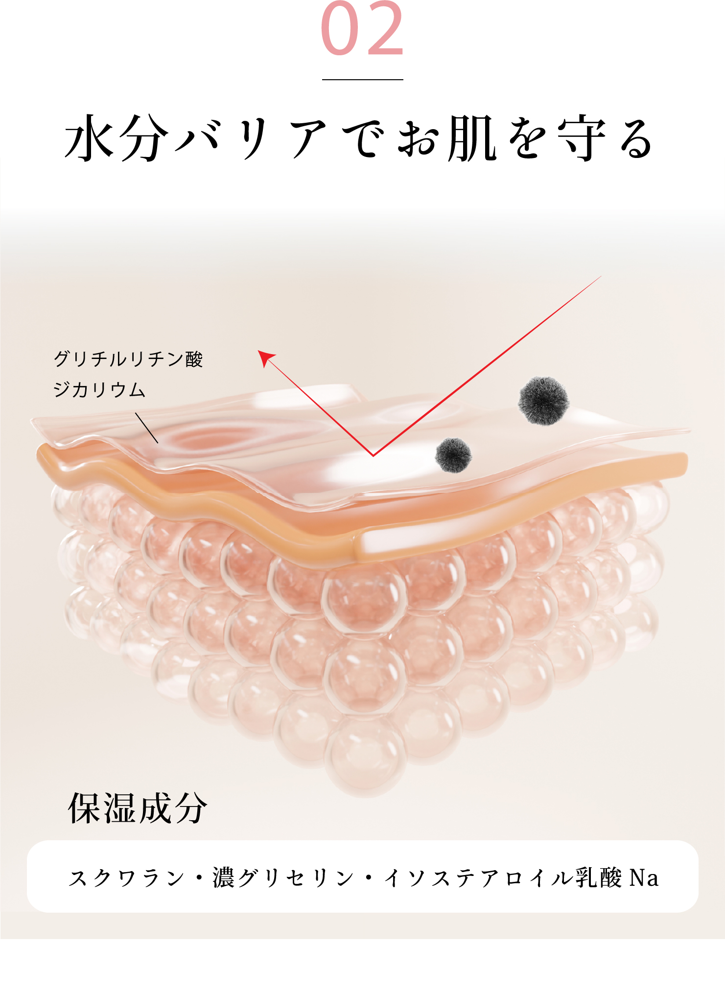 水分バリアでお肌を守る