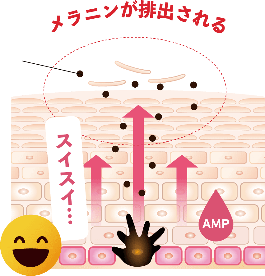 公式】大塚製薬インナーシグナル 14日間お試しキャンペーン