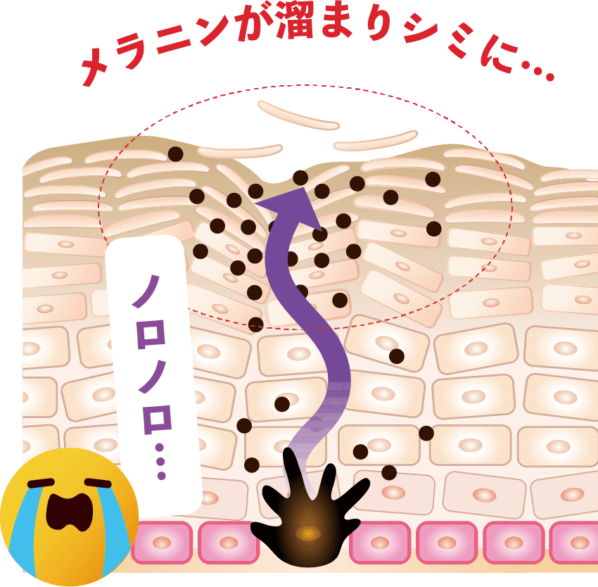 公式】大塚製薬インナーシグナル 14日間お試しキャンペーン