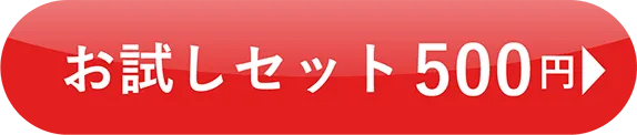 お試しセット 500円