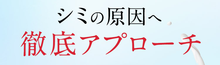 シミの原因へ徹底アプローチ