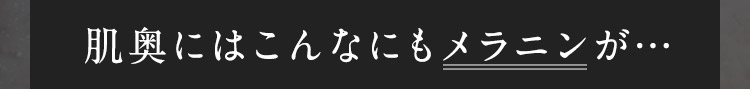 肌奥にはこんなにもメラニンが…