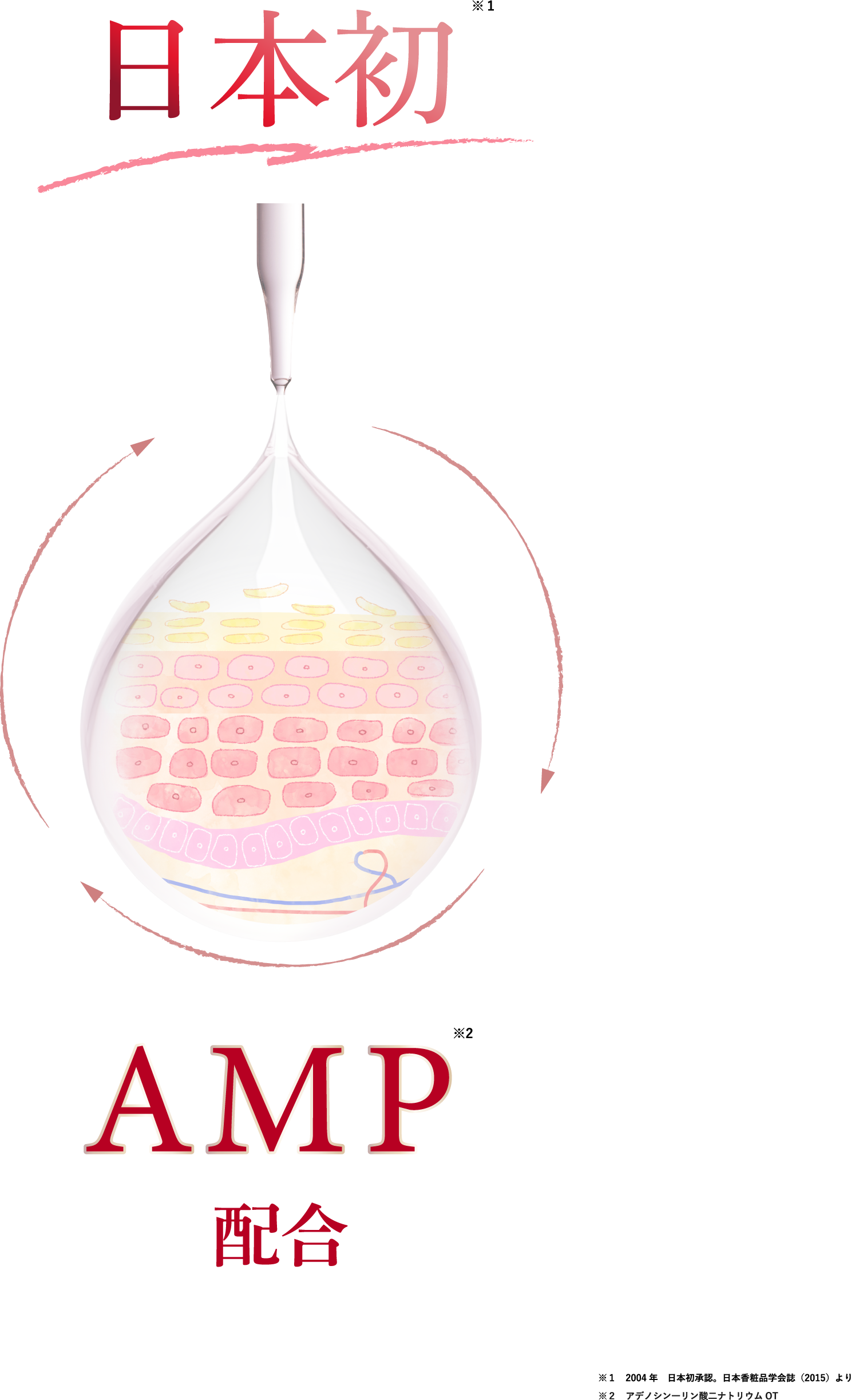 日本初AMP（エナジーシグナル）配合