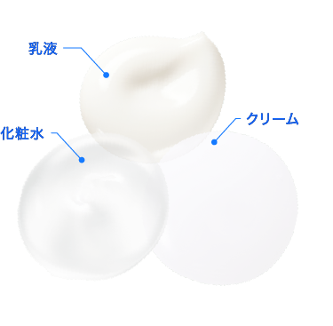 ターンオーバーが加齢とともに…