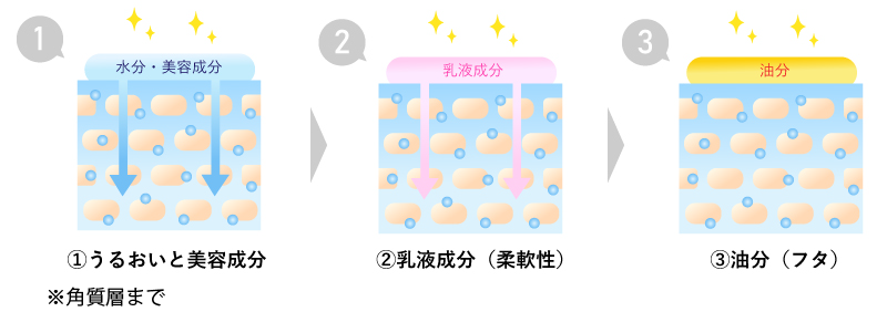 ターンオーバーが加齢とともに…