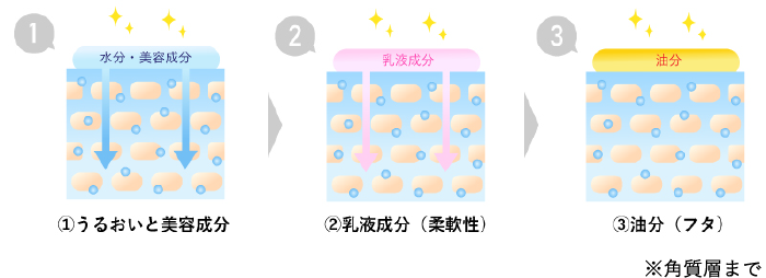 ターンオーバーが加齢とともに…