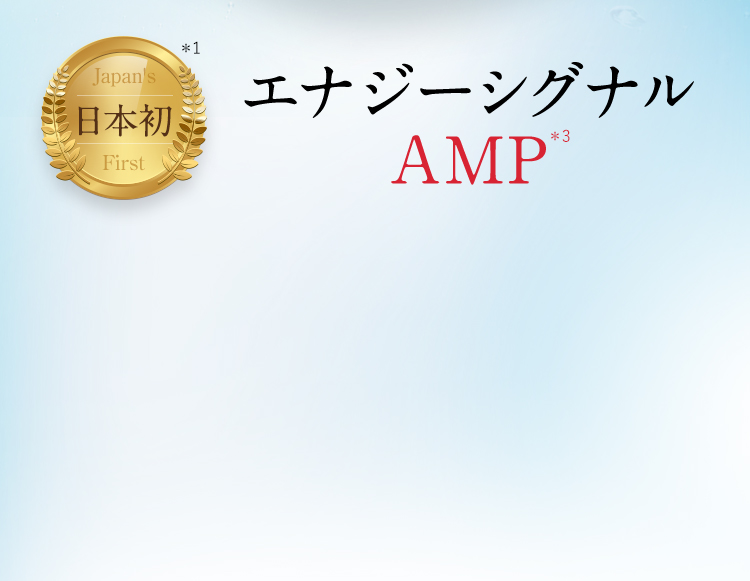 日本初*1 エナジーシグナル AMP*3