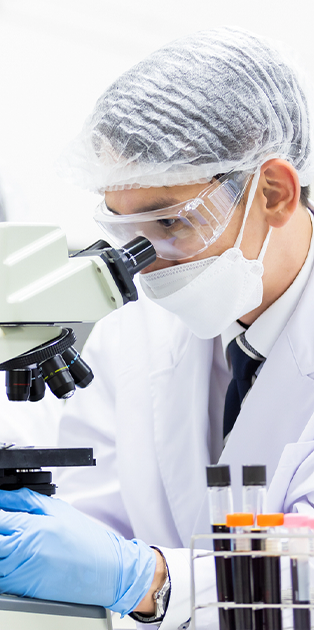 研究のイメージ