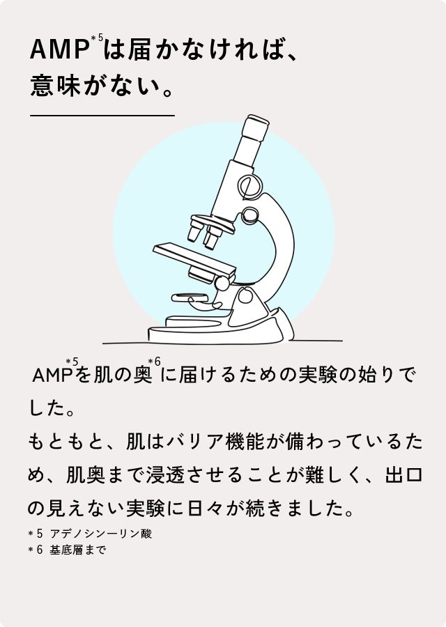 AMP*5は届かなければ、意味がない。AMP＊5を肌の奥＊6に届けるための実験の始まりでした。もともと、肌はバリア機能が備わっているため、肌奥まで浸透させることが難しく、出口の見えない実験に日々が続きました。＊5 アデノシンーリン酸＊6 基底層まで