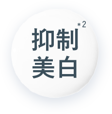 抑制美白 *2